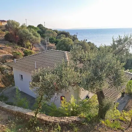 Calma House * Amoliani